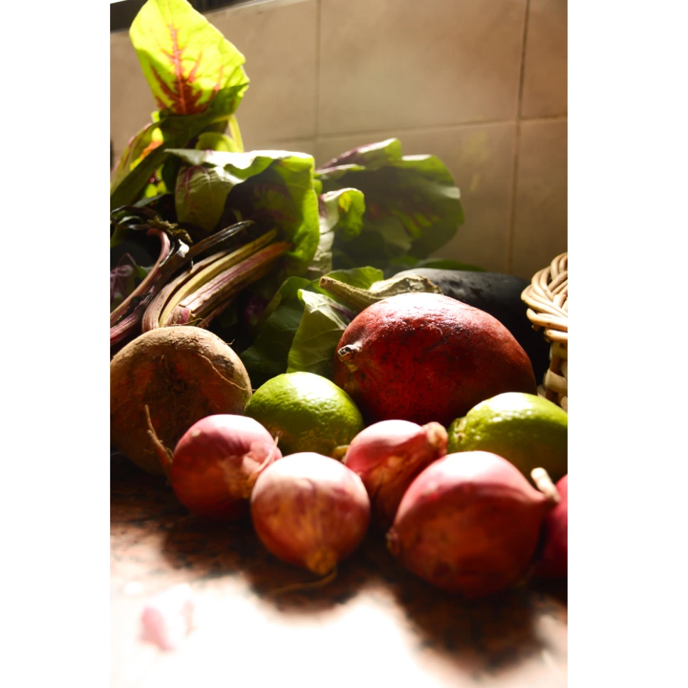 Wraps de soja texturizada, porotos negros y vegetales